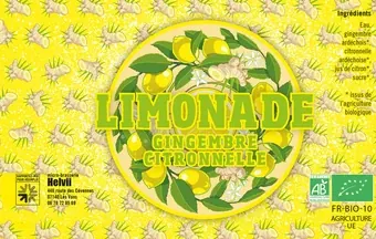 Ginger Beer Sans Alcool